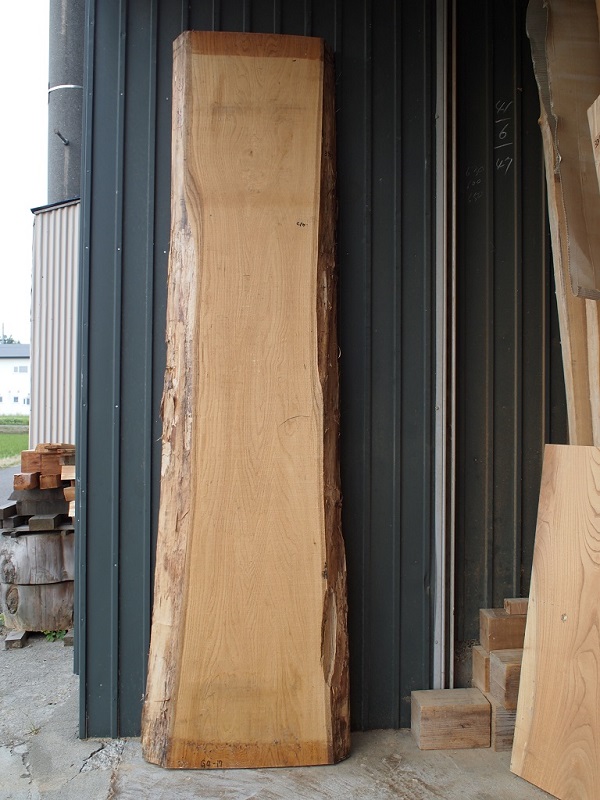 クリ一枚板乾燥材の反り具合